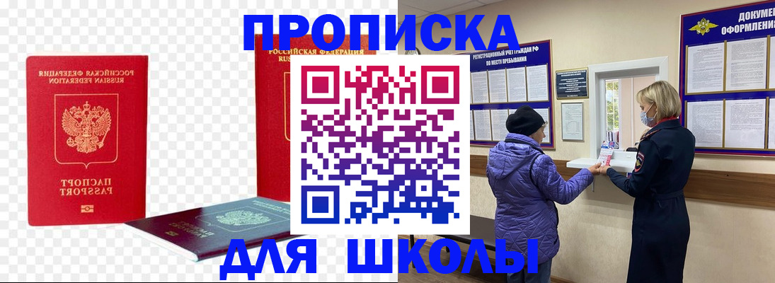 где прописаться в Сольцах